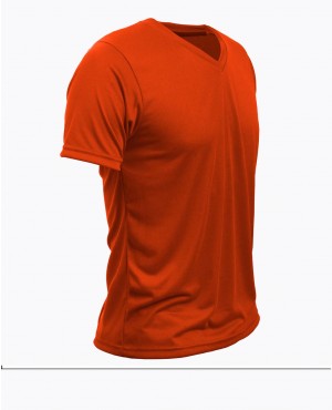 T-SHIRT REGULAR VNECK MAN tax 5