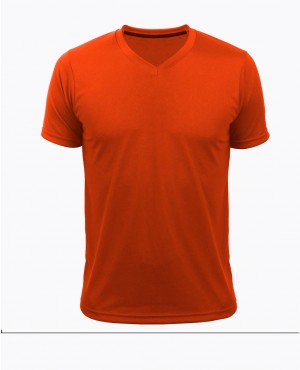 T-SHIRT REGULAR VNECK MAN tax 5