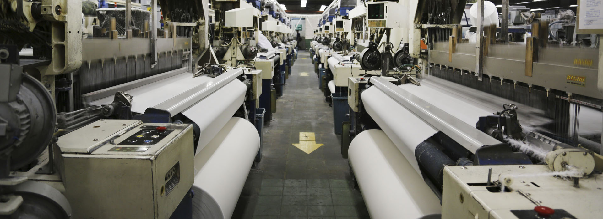 Rows of looms in the Textilia weaving hall, cloth rolling off each machine