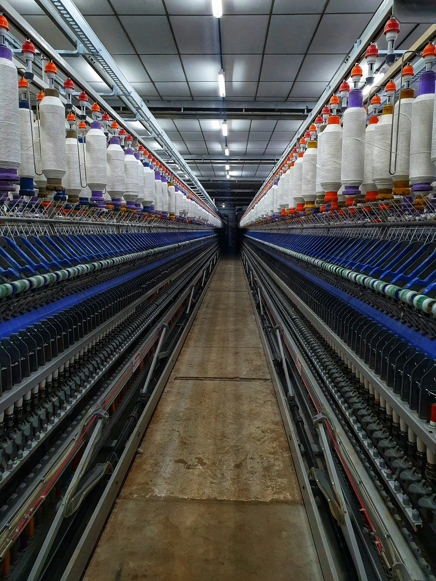 Ring spinning frames down the length of an aisle, bobbins filling on every head
